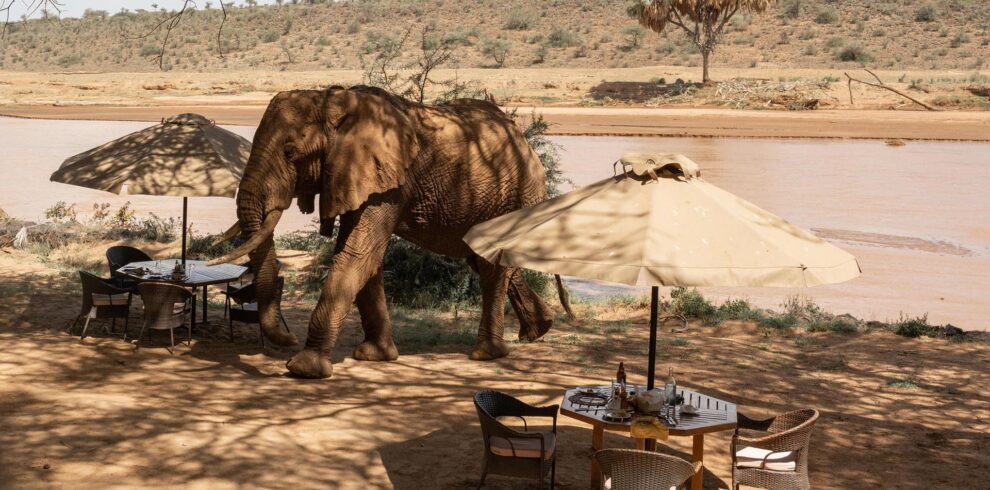 kenya safari